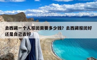 去西藏一个人报团需要多少钱？去西藏报团好还是自己去好