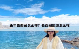 新年去西藏怎么样？去西藏旅游怎么样