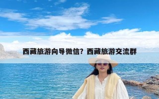 西藏旅游向导微信？西藏旅游交流群