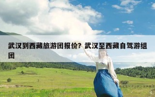 武汉到西藏旅游团报价？武汉至西藏自驾游组团