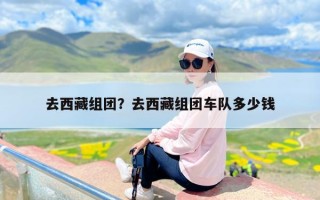 去西藏组团？去西藏组团车队多少钱