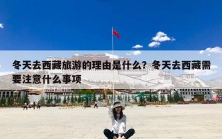 冬天去西藏旅游的理由是什么？冬天去西藏需要注意什么事项