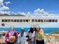 西藏然乌湖旅游攻略？然乌湖在318国道边吗