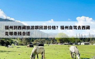 福州到西藏旅游跟团游价格？福州自驾去西藏走哪条线合适