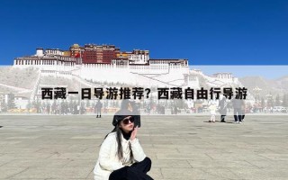 西藏一日导游推荐？西藏自由行导游