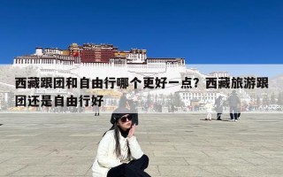 西藏跟团和自由行哪个更好一点？西藏旅游跟团还是自由行好