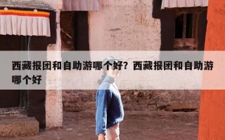 西藏报团和自助游哪个好？西藏报团和自助游哪个好