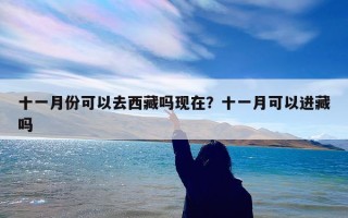 十一月份可以去西藏吗现在？十一月可以进藏吗